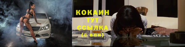 ГАЛЛЮЦИНОГЕННЫЕ ГРИБЫ Козловка