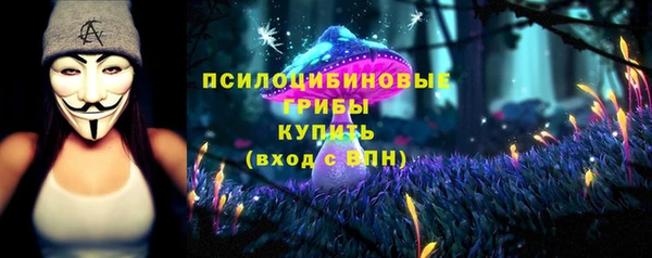 СК Корсаков