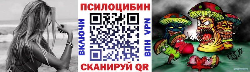 Галлюциногенные грибы прущие грибы  Купить  Бакал 